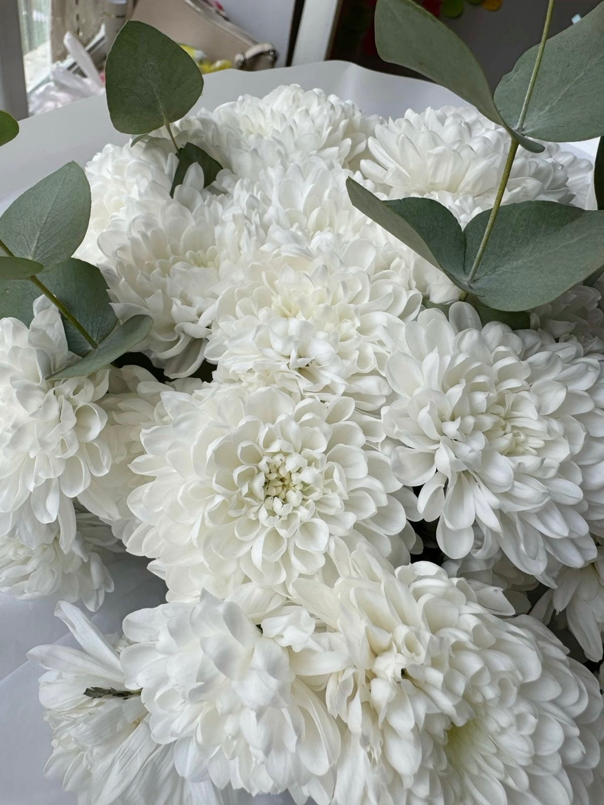 A bouquet of chrysanthemums