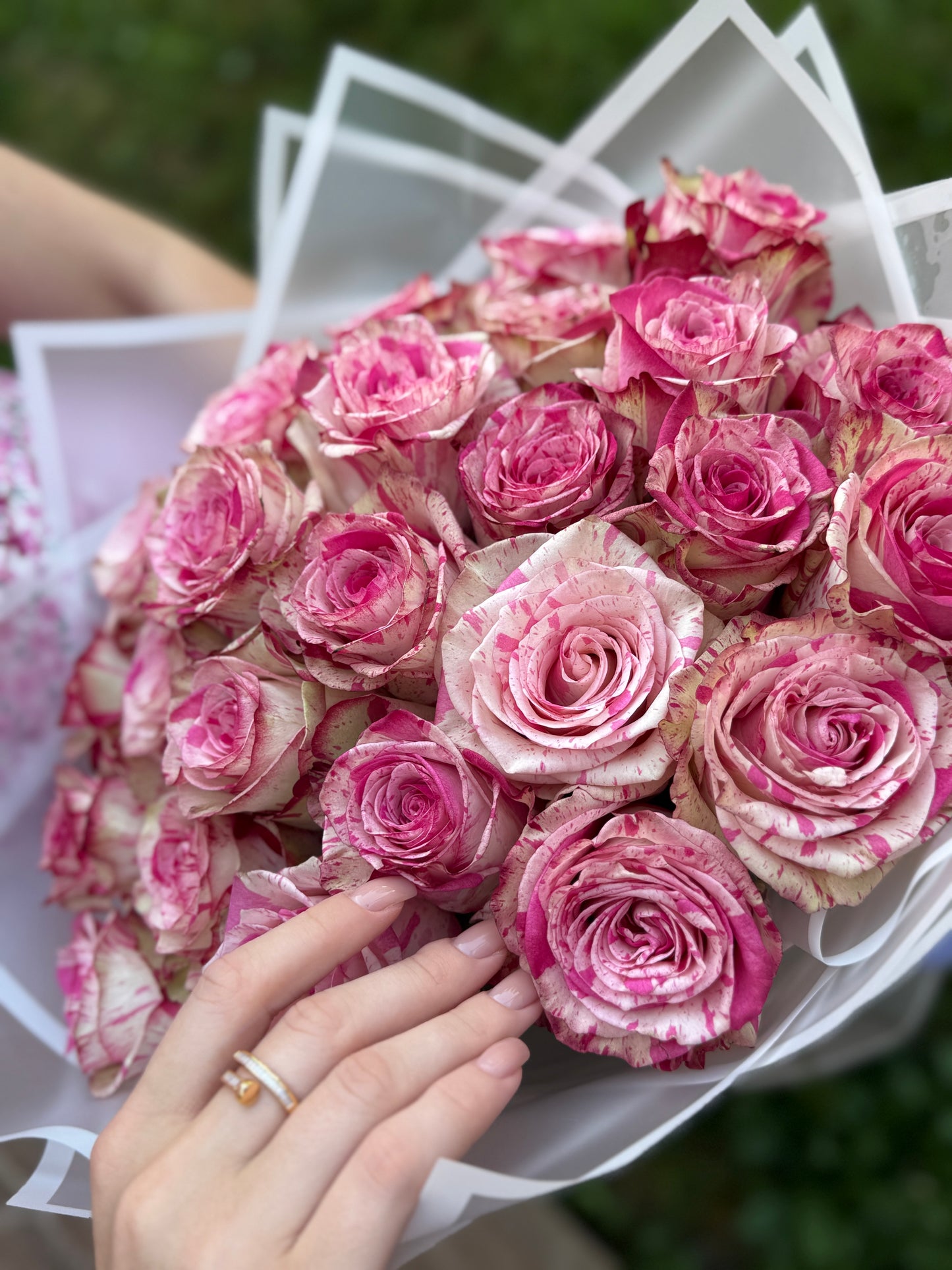 Ambre Rose