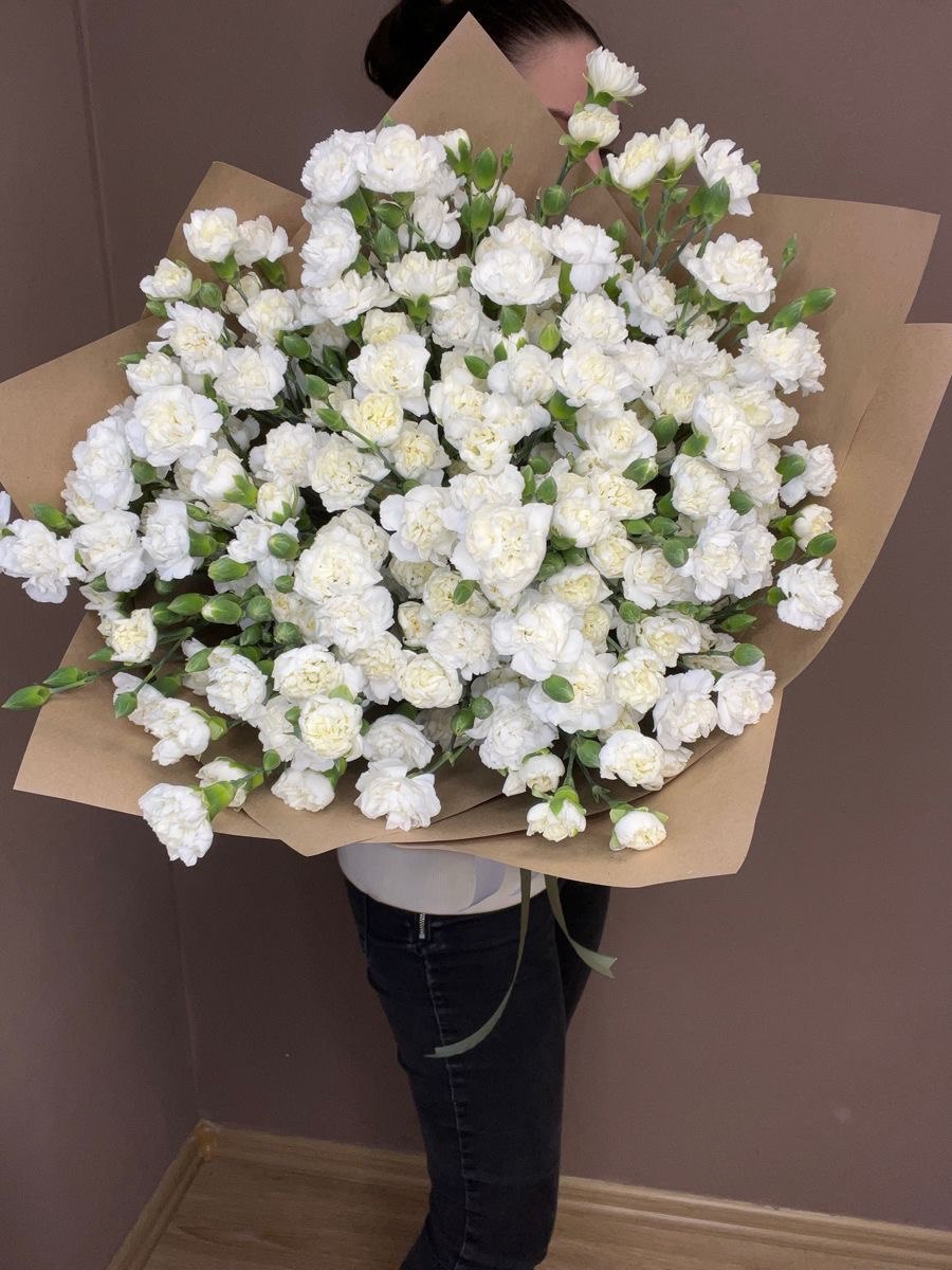 A bouquet of Carnations - Dianthus mini