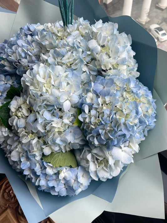 A bouquet of hydrangeas