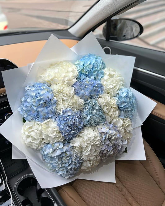 A bouquet of hydrangeas