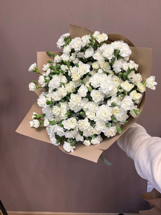 A bouquet of Carnations - Dianthus mini