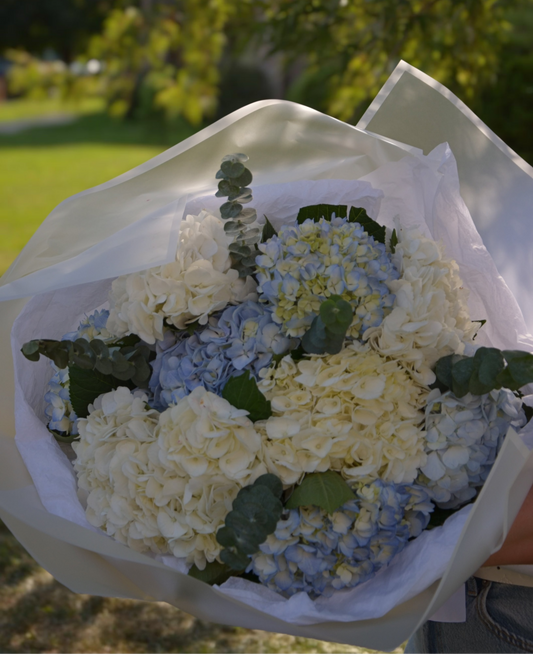 A bouquet of hydrangeas